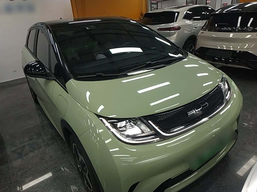 BYD Dolphin, 2022 4