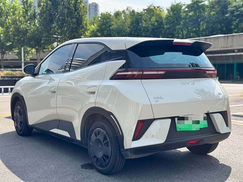 BYD Seagull