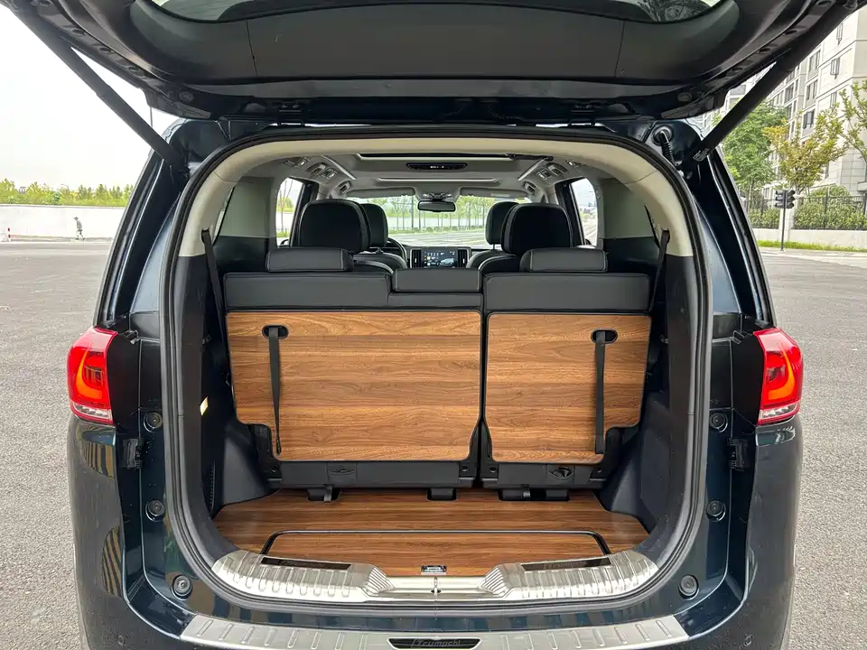 Trumpchi Trumpchi M8