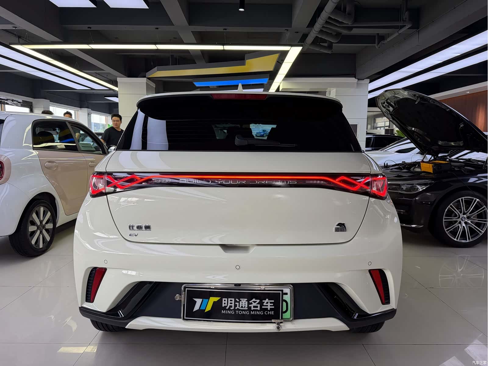 BYD Dolphin, 2023 4