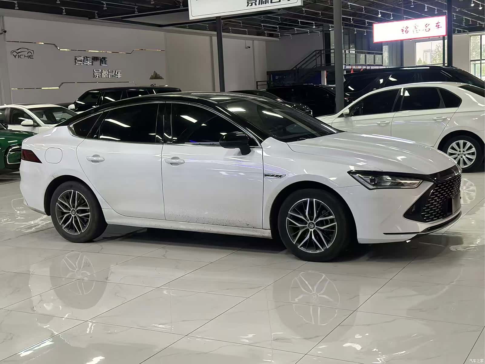 BYD Qin, 2023 все фото