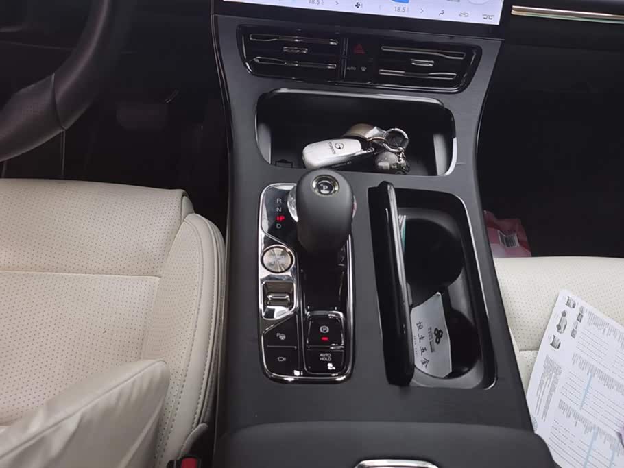 Trumpchi Trumpchi E9