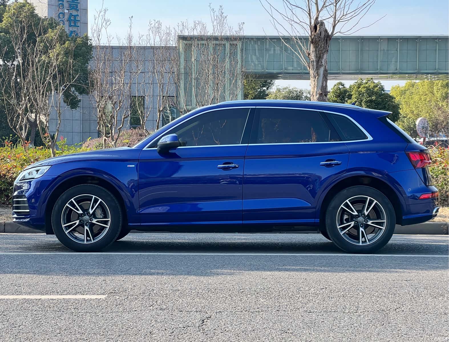 Audi Q5L, 2019 все фото
