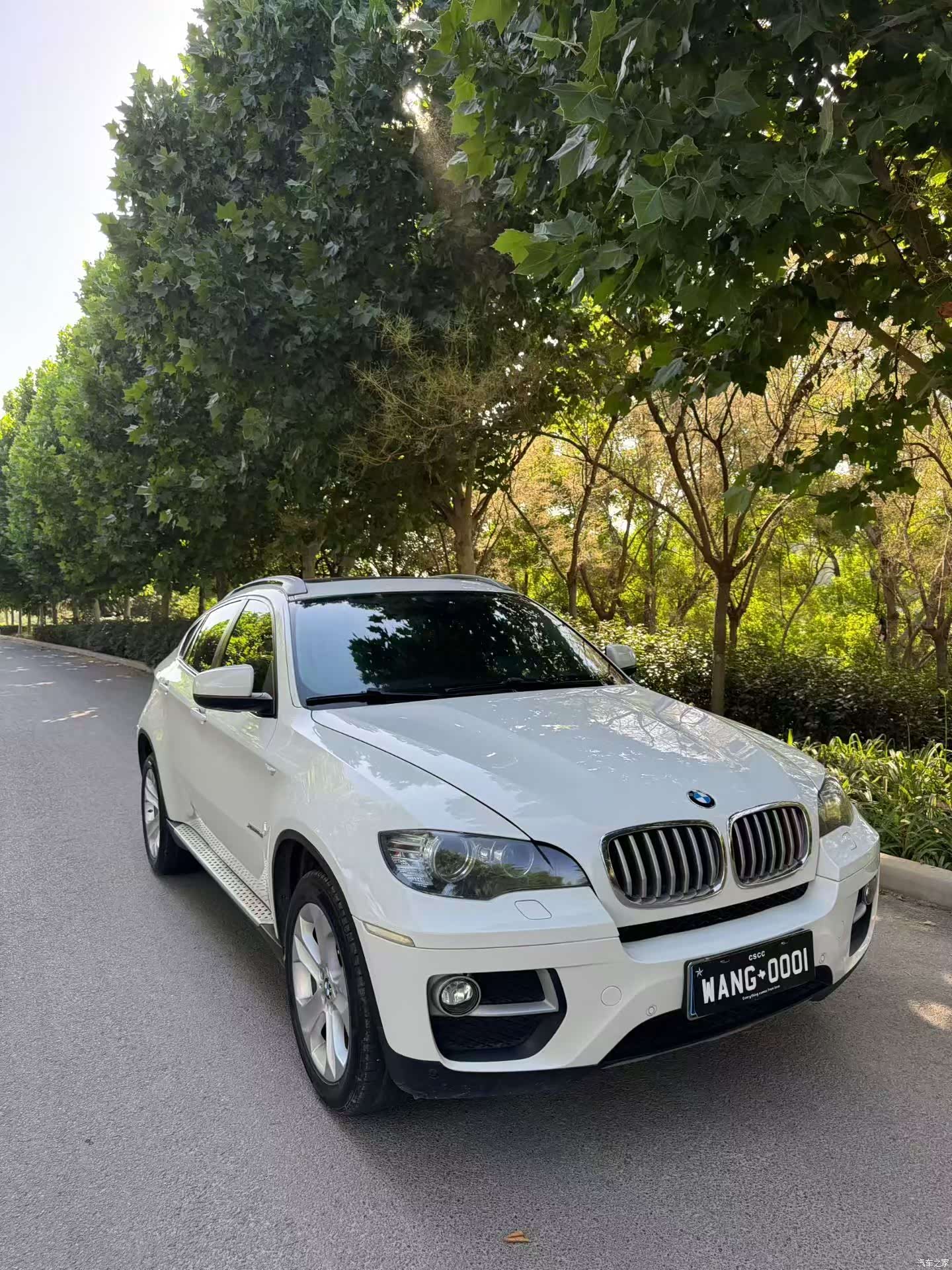 BMW X6, 2013 3