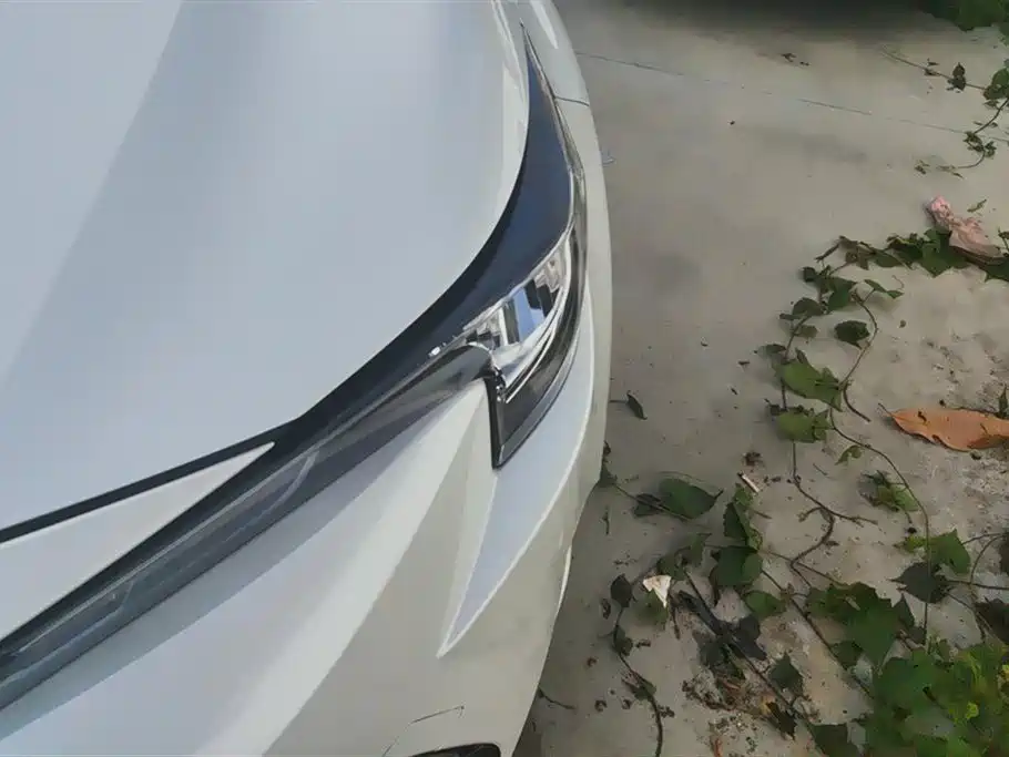 Toyota Lei Ling Toyota Lei Ling