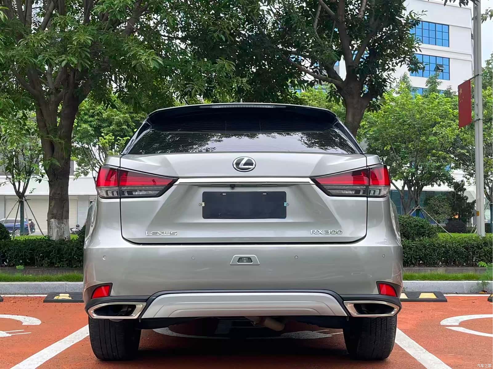 Lexus RX, 2020 8
