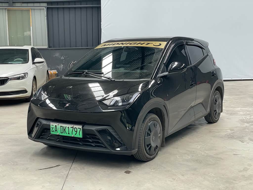 BYD Seagull 2024 305km