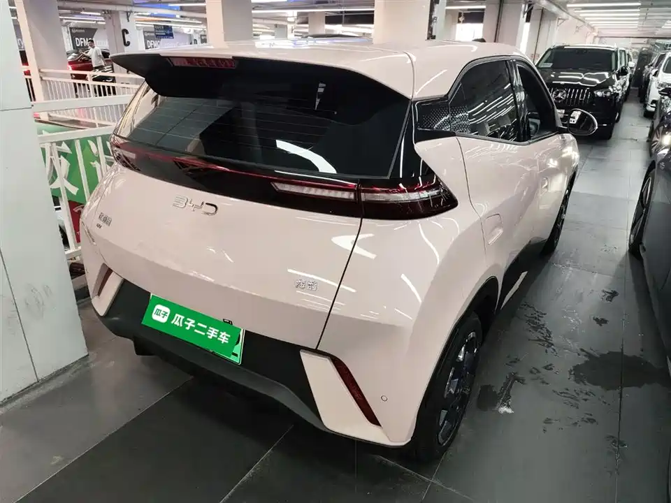 BYD Seagull