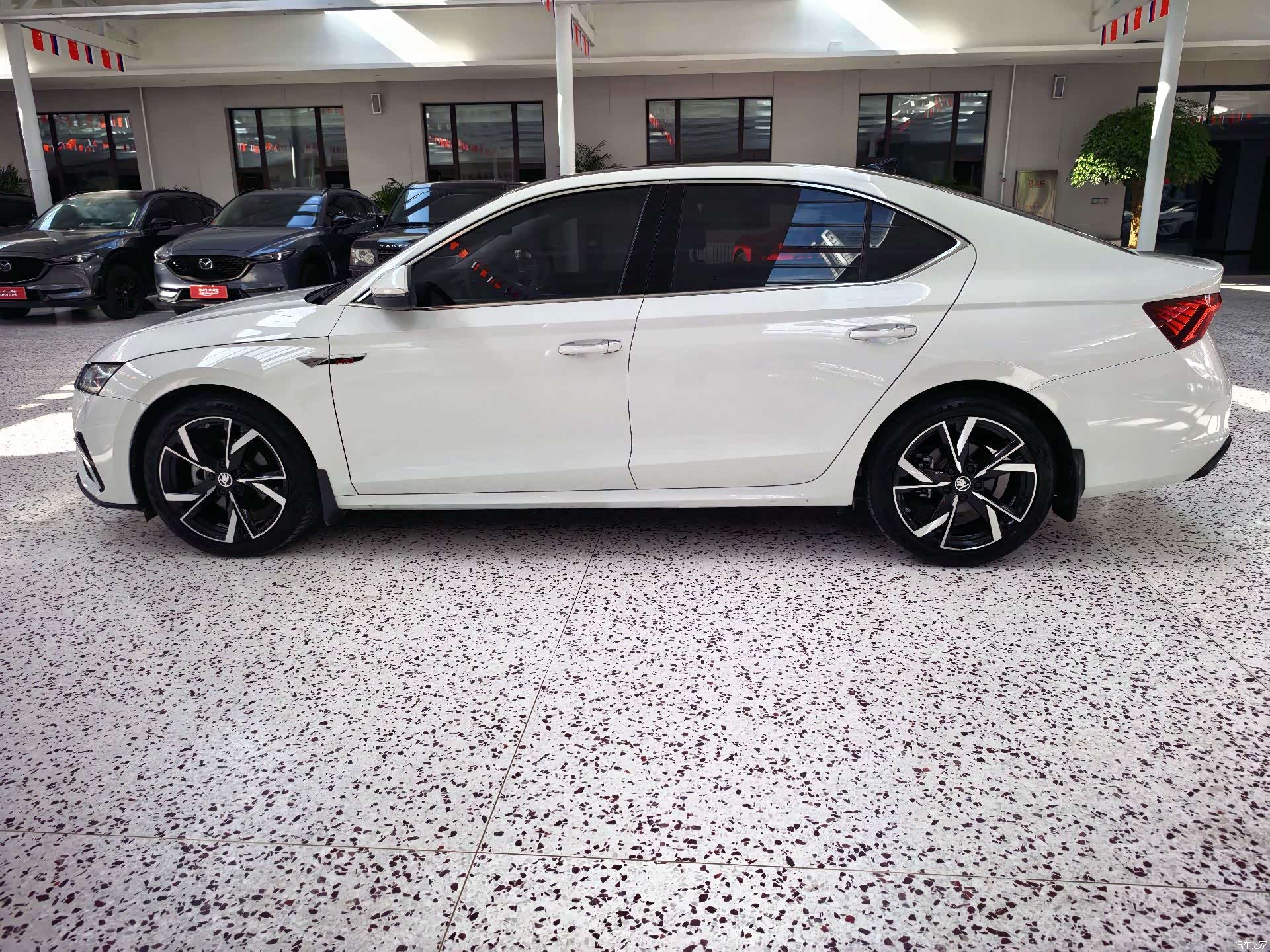 Skoda Octavia, 2022 все фото