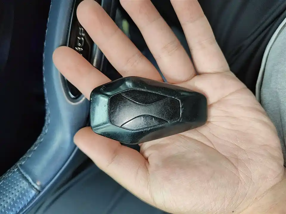 ARCFOX Polar Fox Alpha T