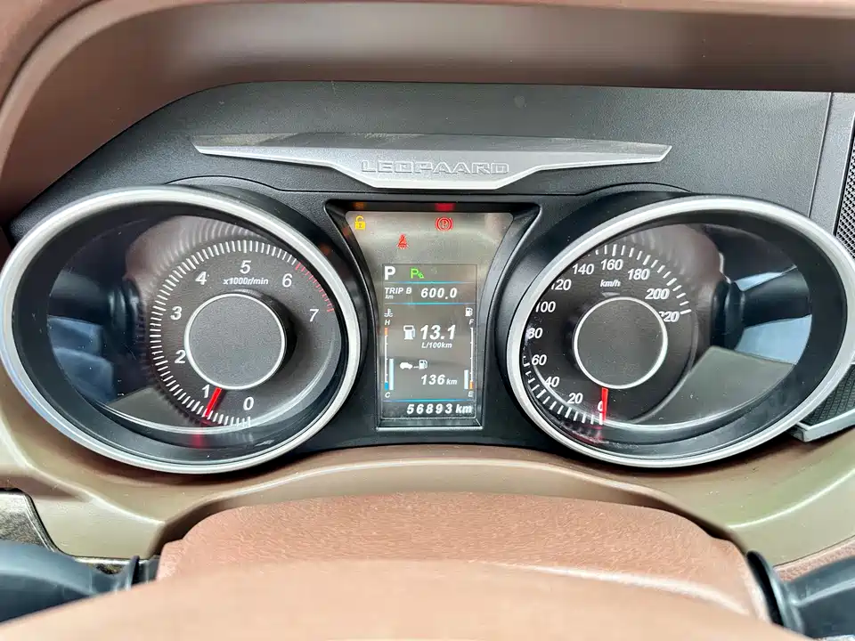 Leopaard Cheetah CS10