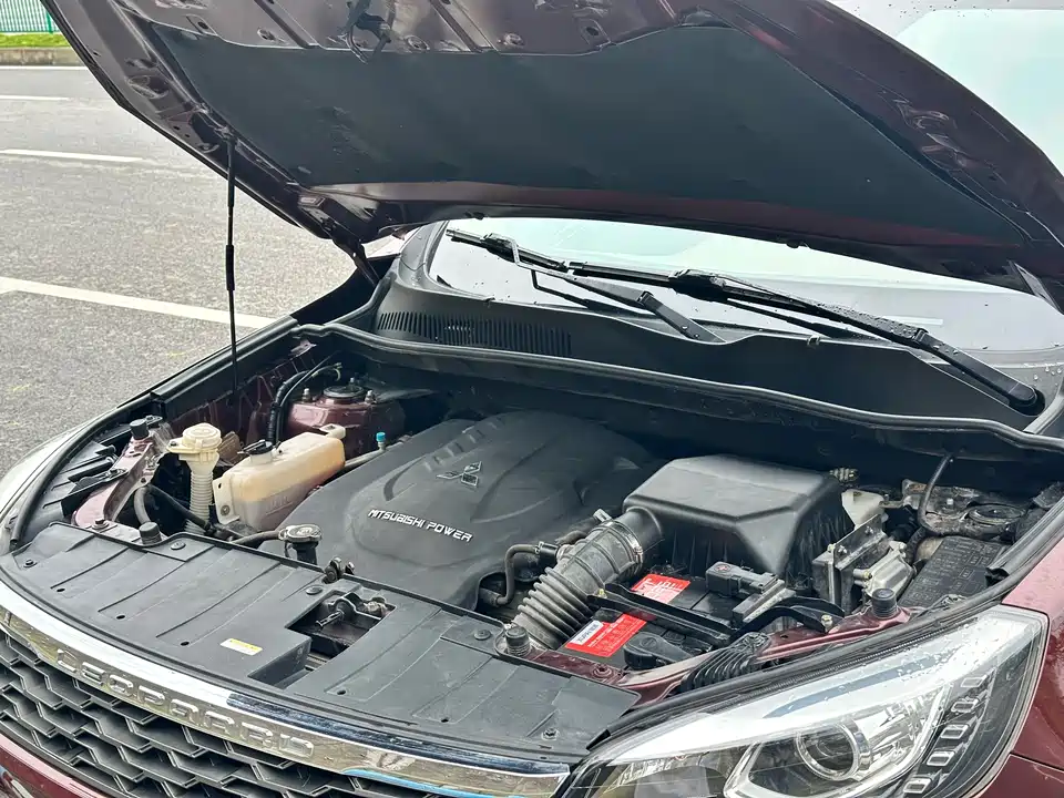 Leopaard Cheetah CS10