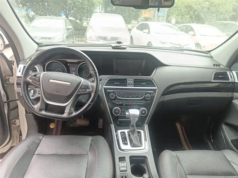 Leopaard Cheetah CS10