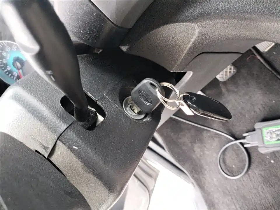 Jinbei Golden Sea Lion M Classic