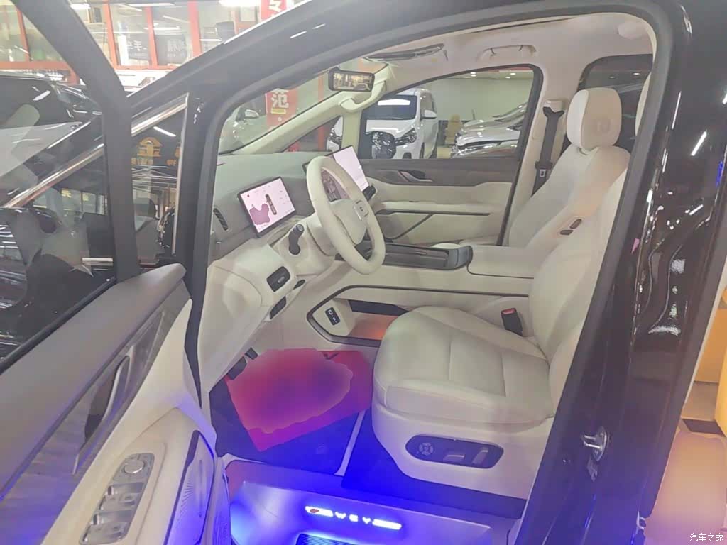 WEY Gaoshan, 2025 16