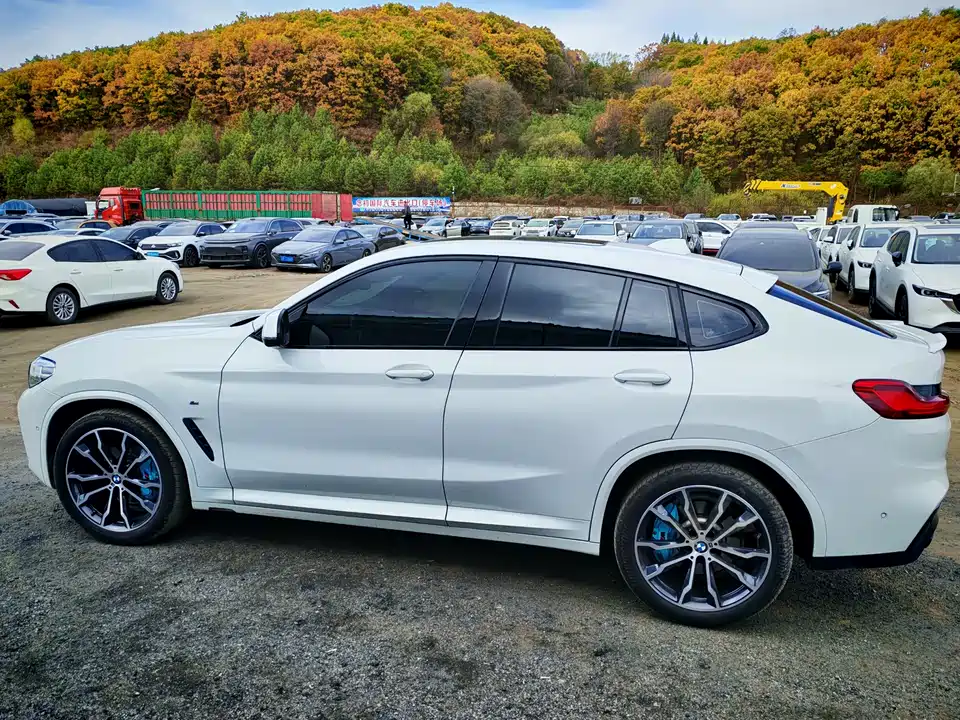 BMW X4 BMW X4