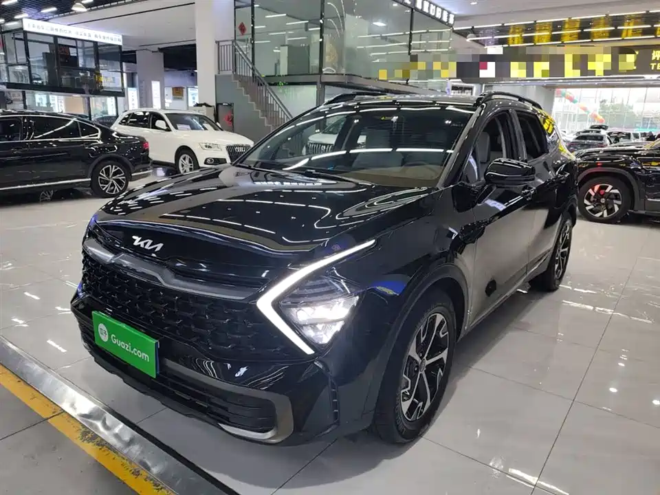 Kia Lion Platinum expands the world