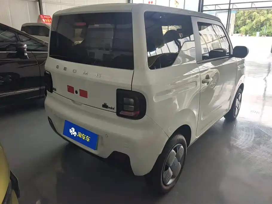 Geely Galaxy panda