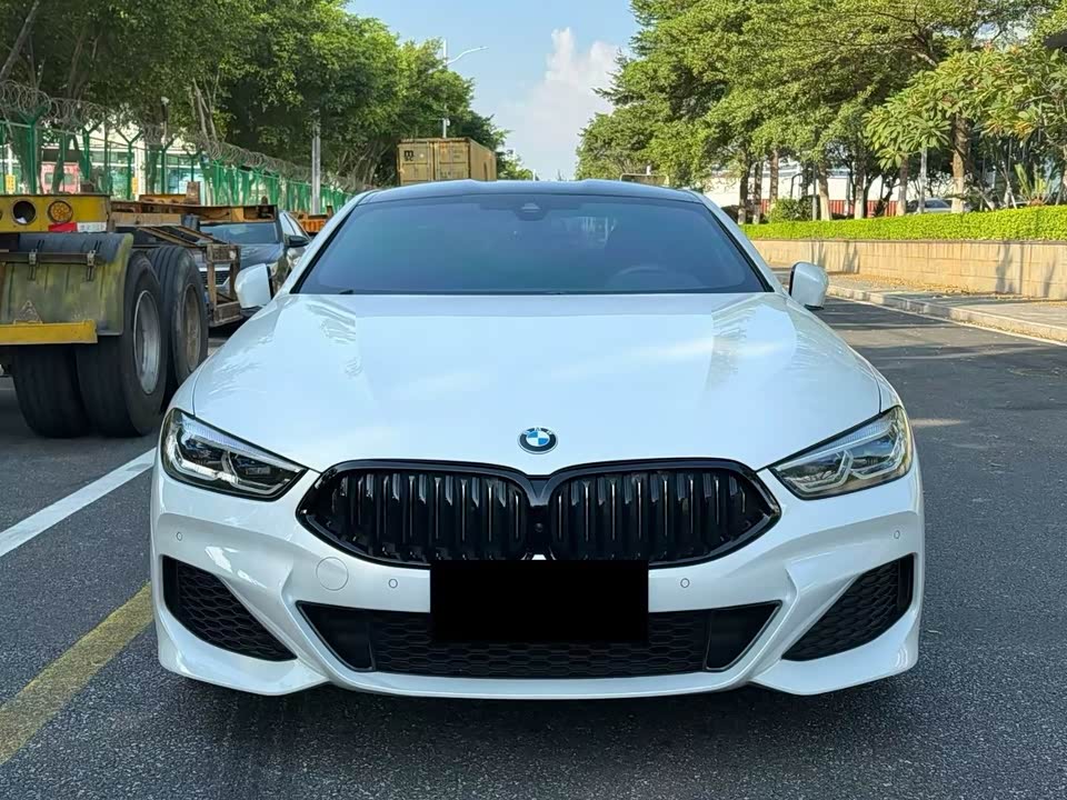 BMW 8 series
