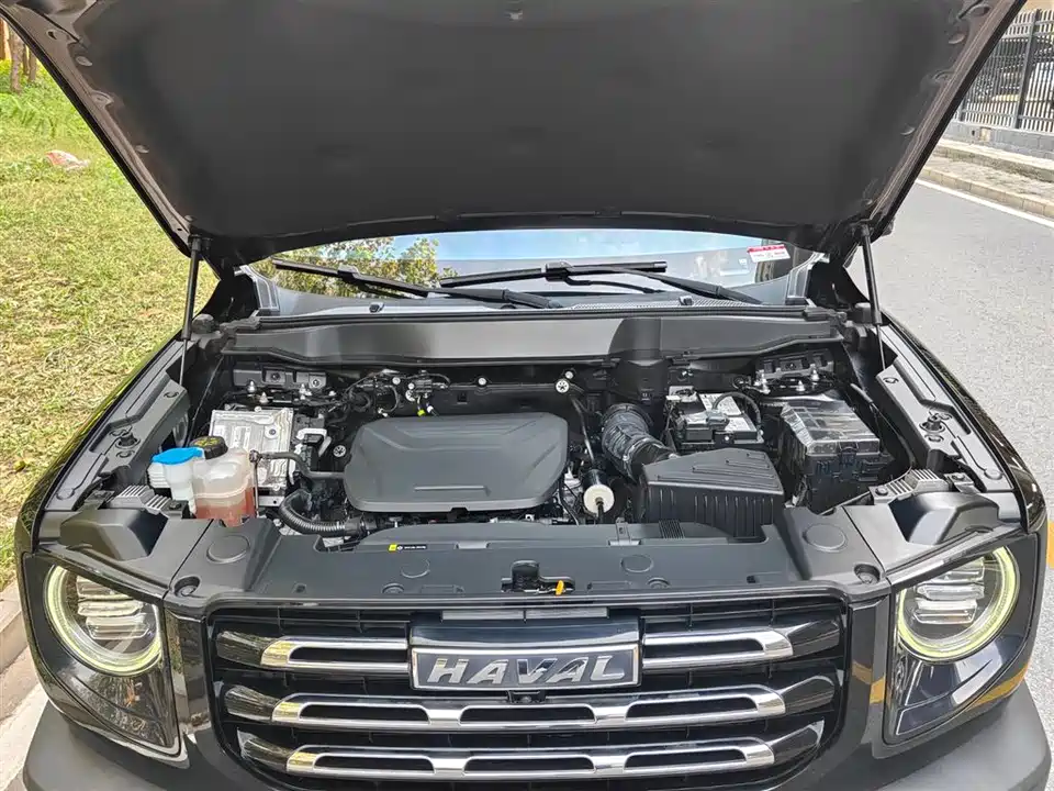 Haval Big dog Haval Big dog