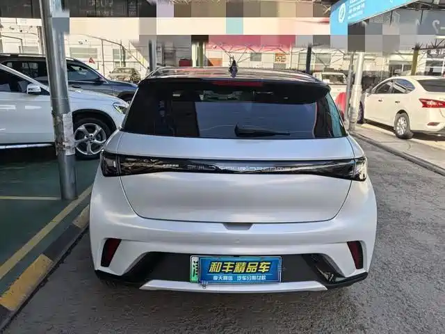 BYD dolphin