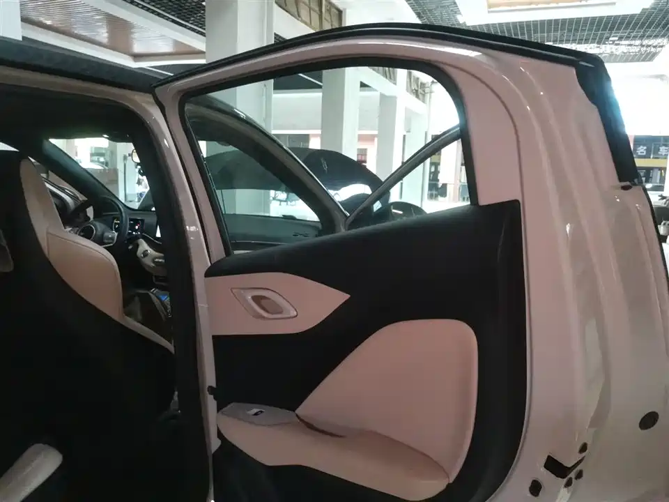 BYD Seagull
