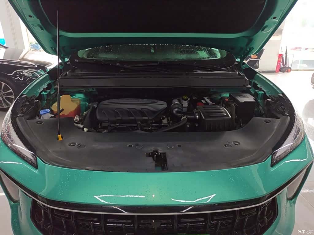 DongFeng T5, 2021 20