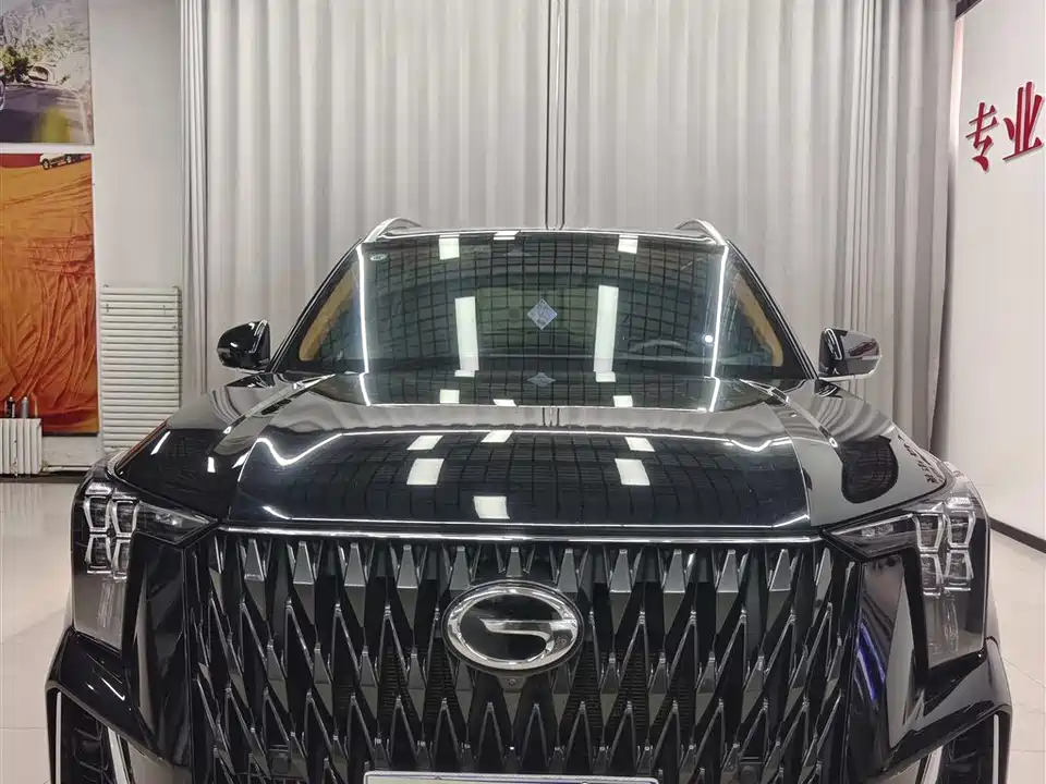 Trumpchi Trumpchi GS8