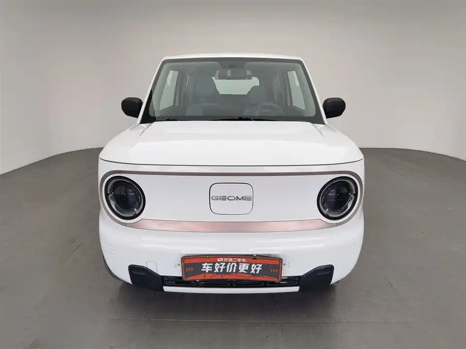 Geely Galaxy panda