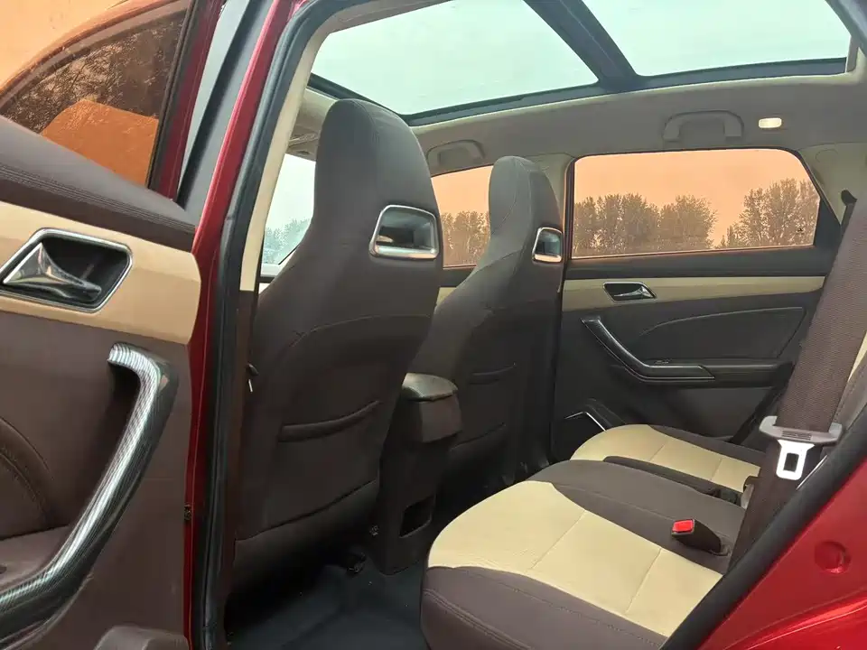 Leopaard Cheetah CS9