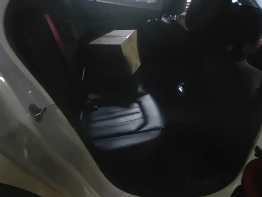 Trumpchi Shadow Leopard