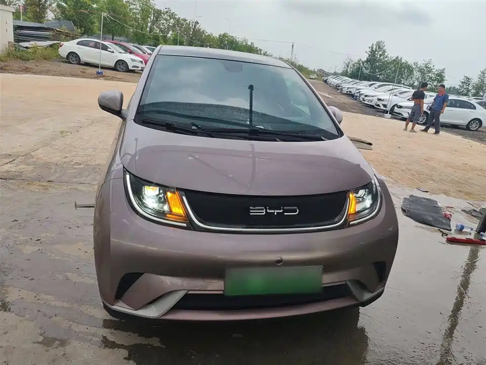 BYD dolphin
