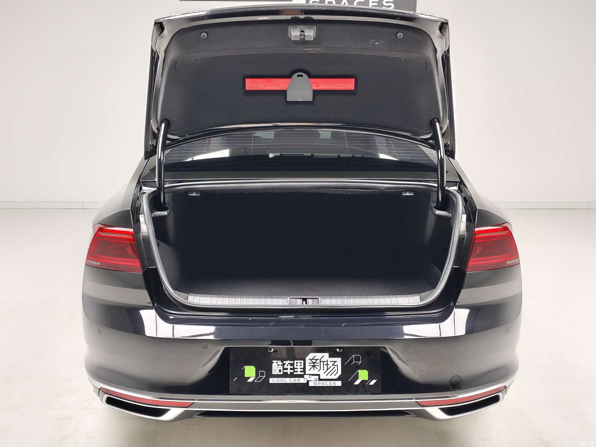 Volkswagen Magotan, 2024 11