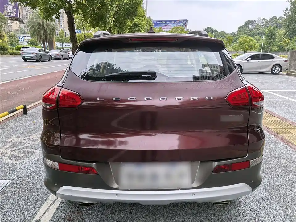 Leopaard Cheetah CS10