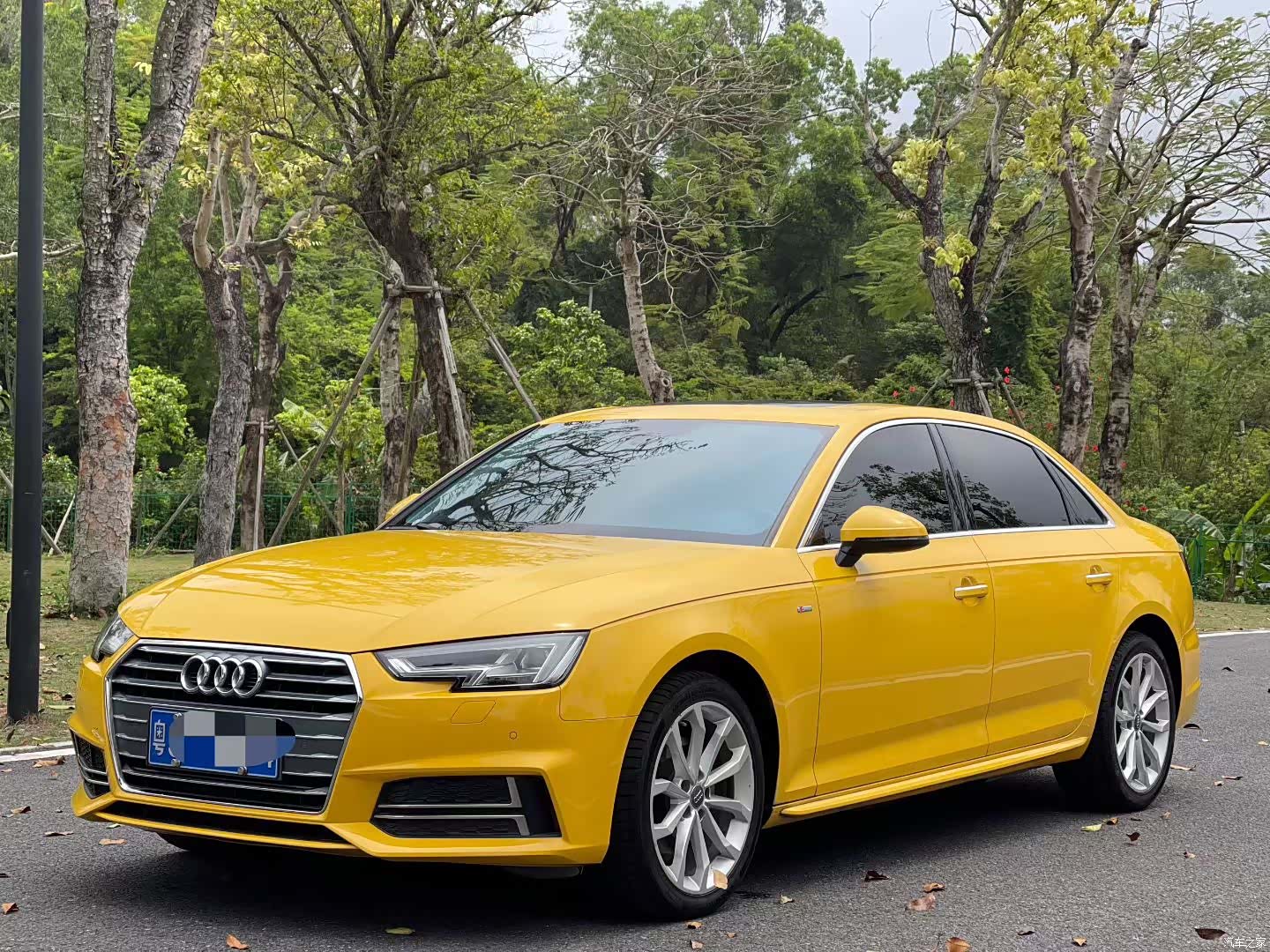 Audi A4L, 2018 1