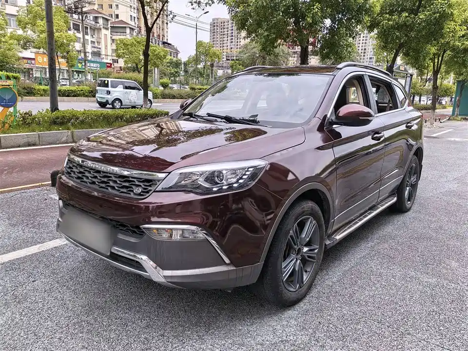 Leopaard Cheetah CS10