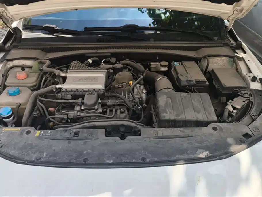 Trumpchi Shadow Leopard