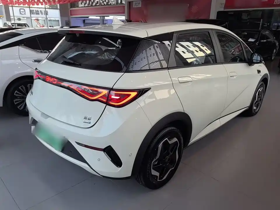 BYD dolphin