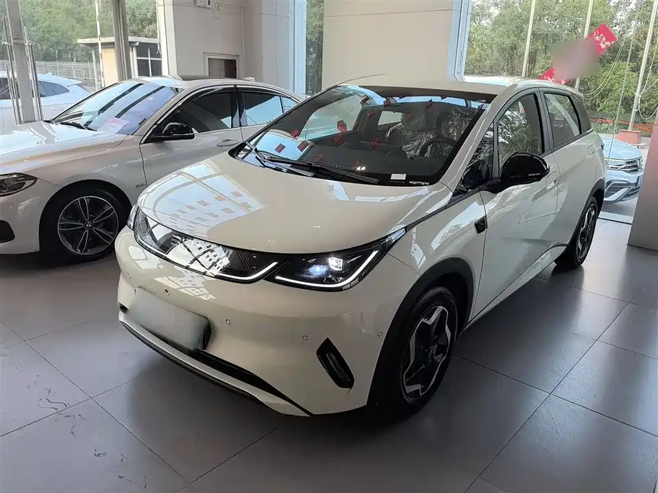BYD dolphin