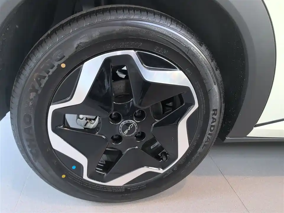 BYD dolphin
