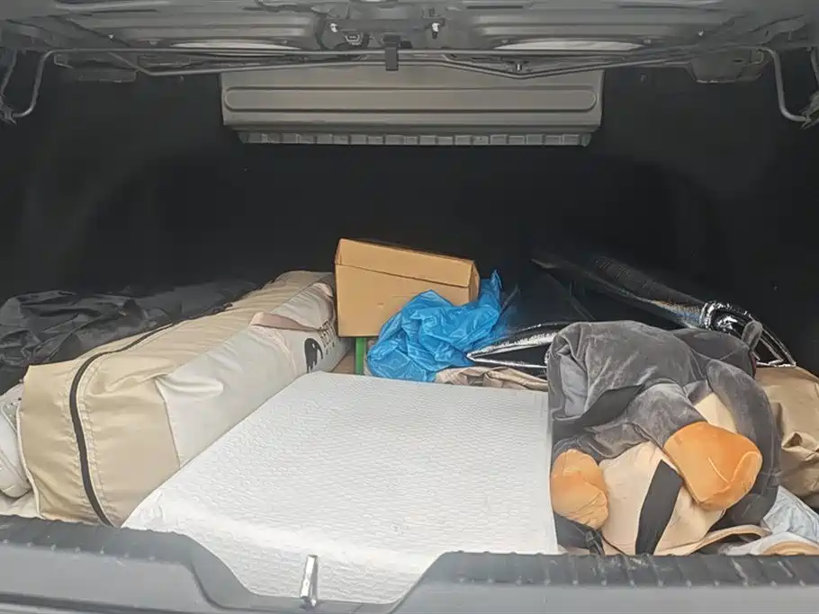 Trumpchi Shadow Leopard