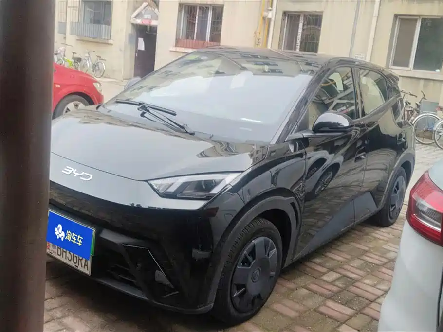 BYD Seagull