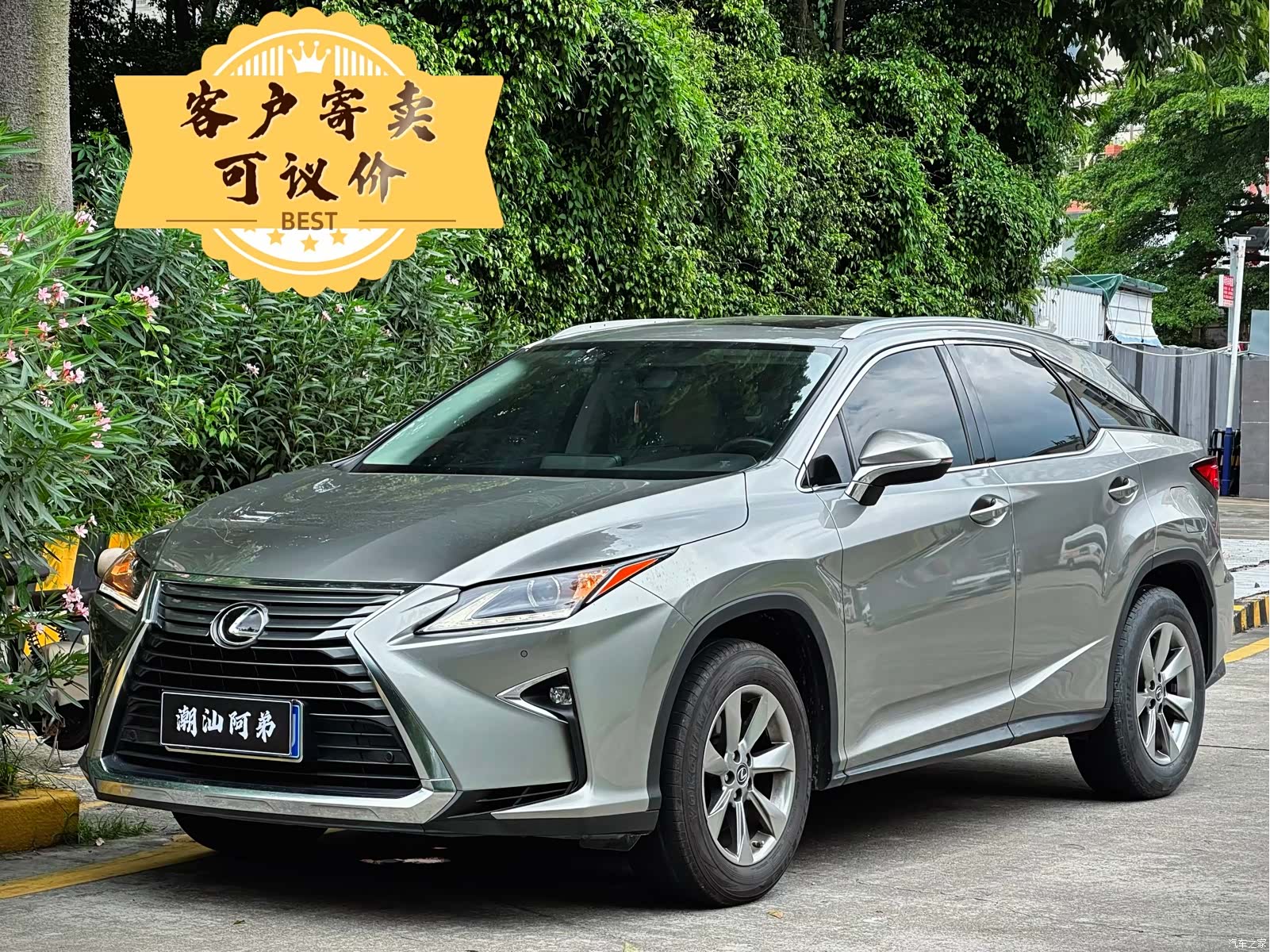 Lexus RX, 2019 1