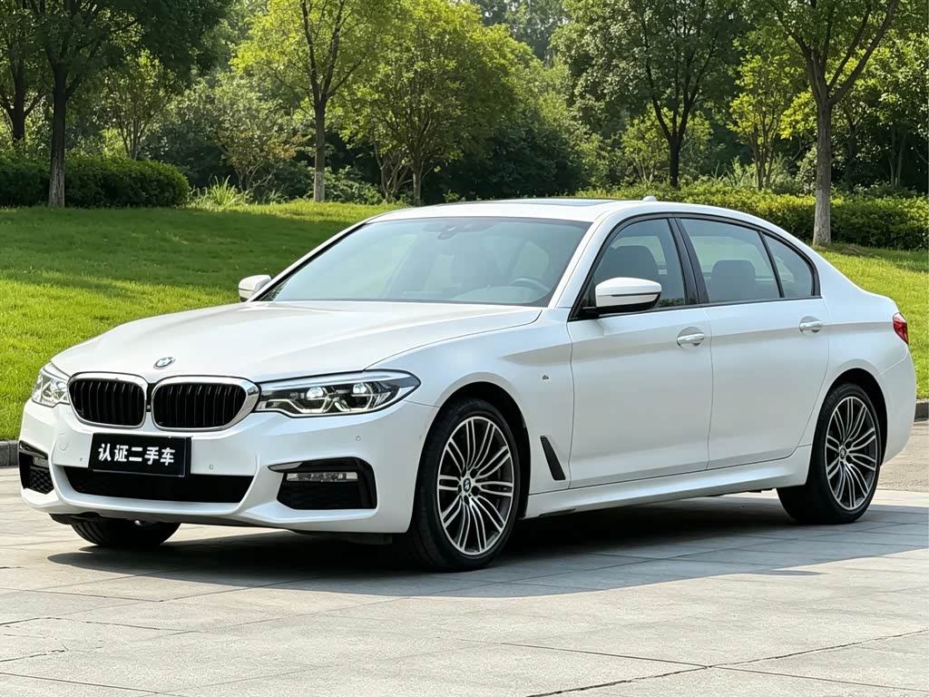 BMW 5 Series 5 2018 530Li Premium M Sport