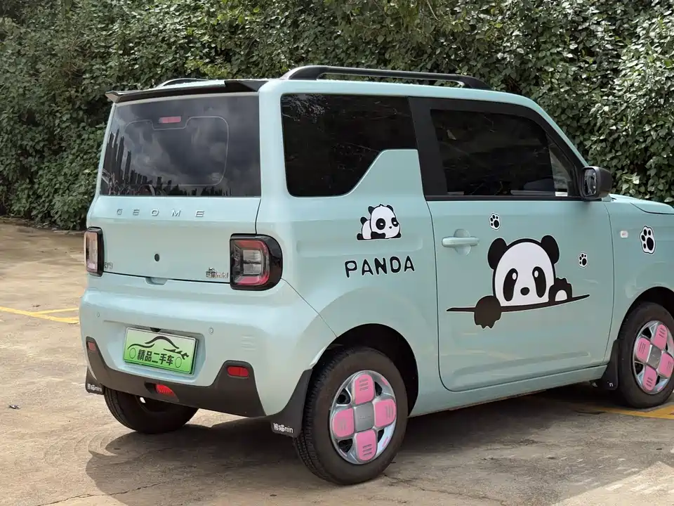 Geely Galaxy panda