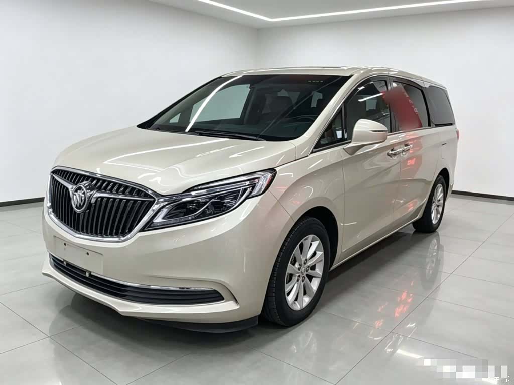 Buick GL8, 2019 2
