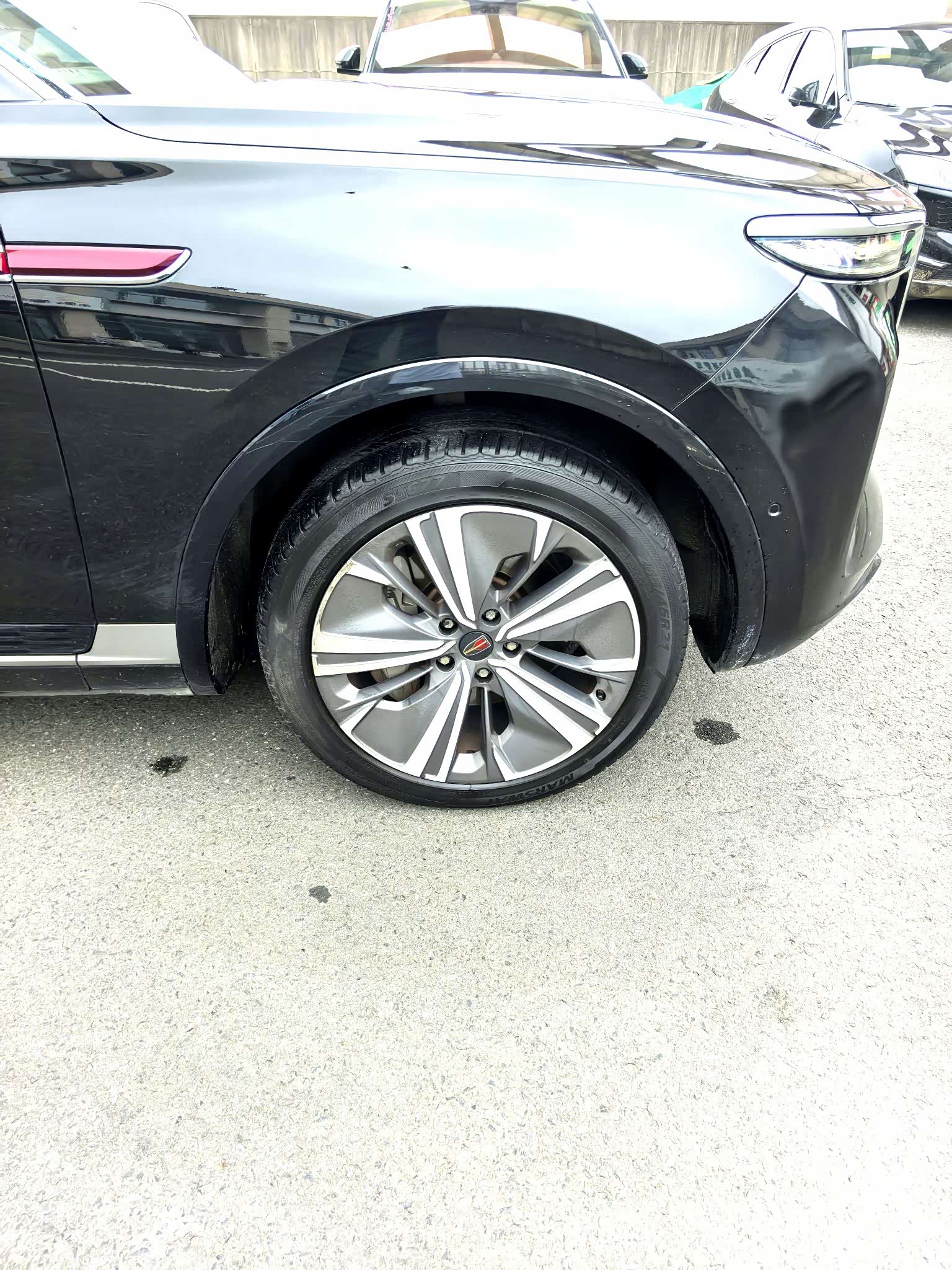 Hongqi E-HS9, 2021 3