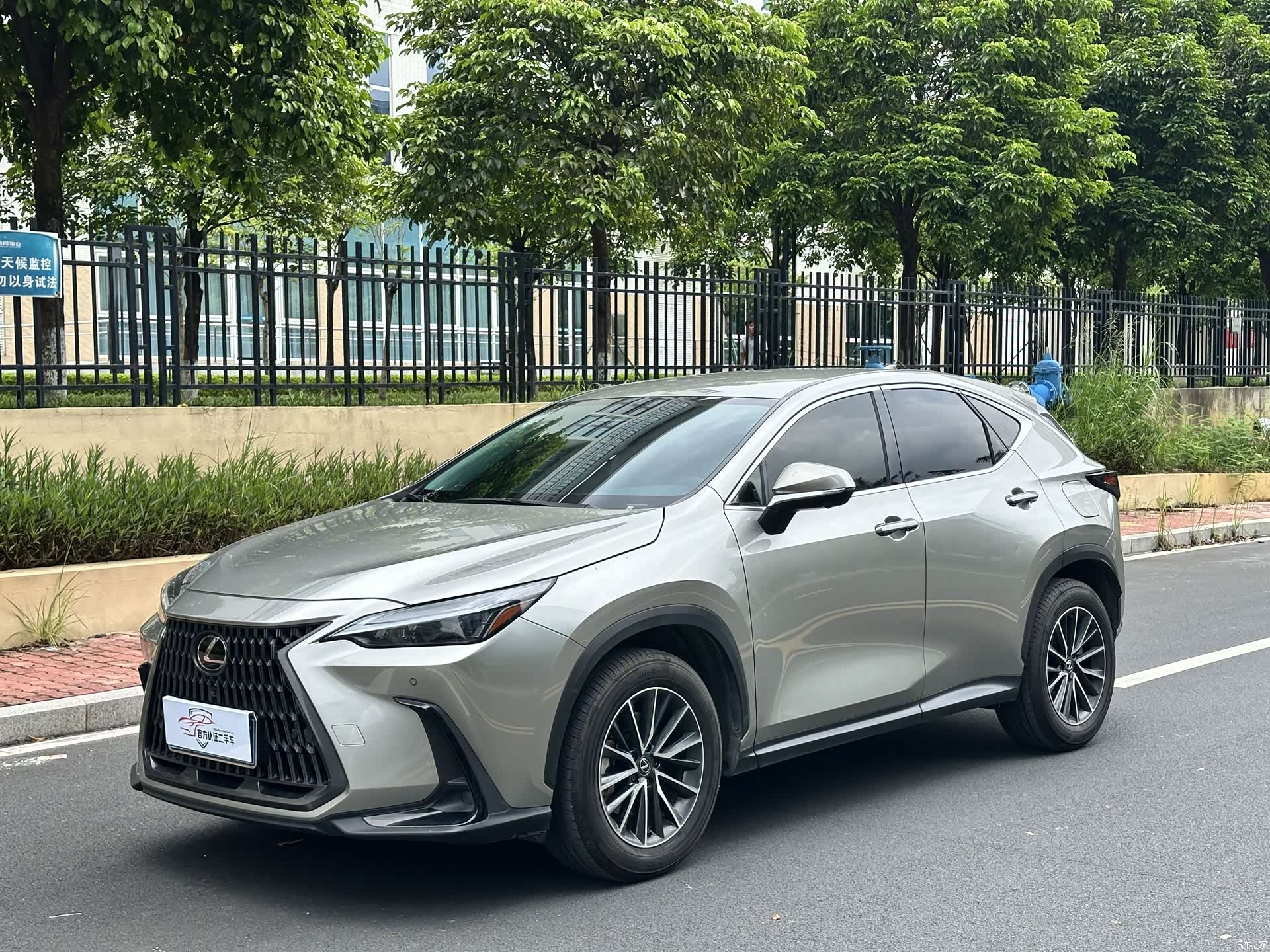 Lexus NX, 2024 1