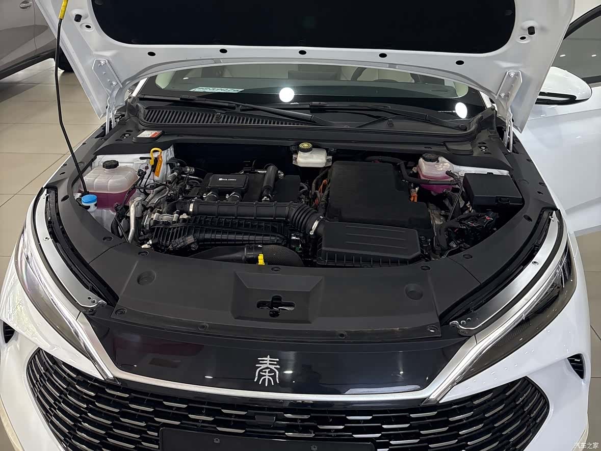 BYD Qin, 2024 13