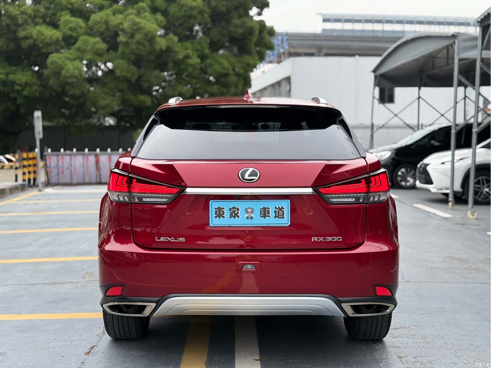 Lexus RX, 2020 6